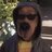 mr_mtopper3427