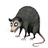 pornopossum