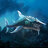 sharkice