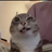 Dyshobby