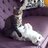 catlover215