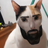 safado_da_silva