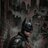 Brucewayne_007