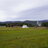 PitchLock