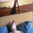 Sylvar__